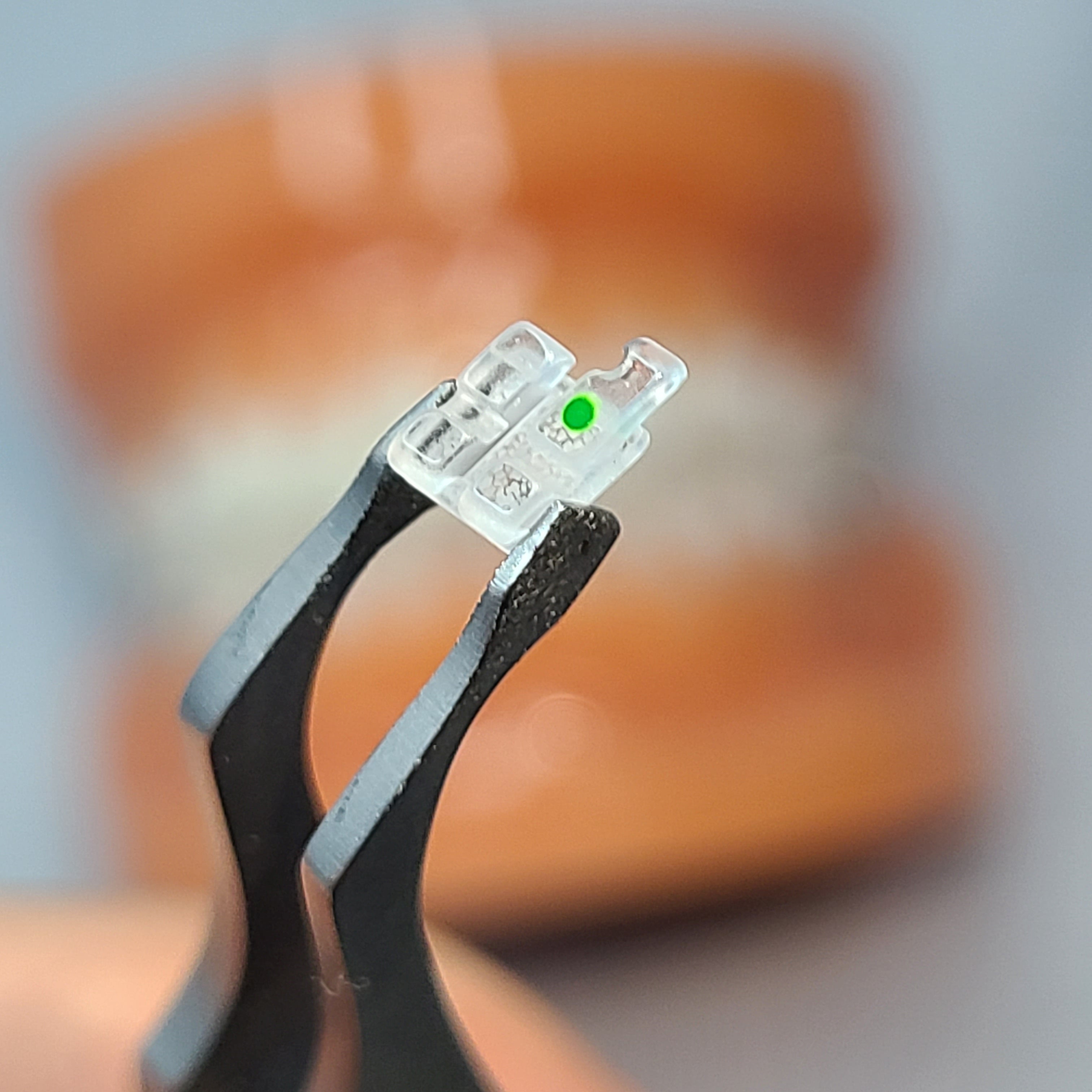 Our Beautiful Jewel 비쥬